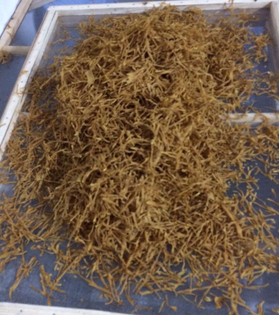 廣東揭陽竹筍烘干項(xiàng)目 廣東揭陽竹筍烘干項(xiàng)目